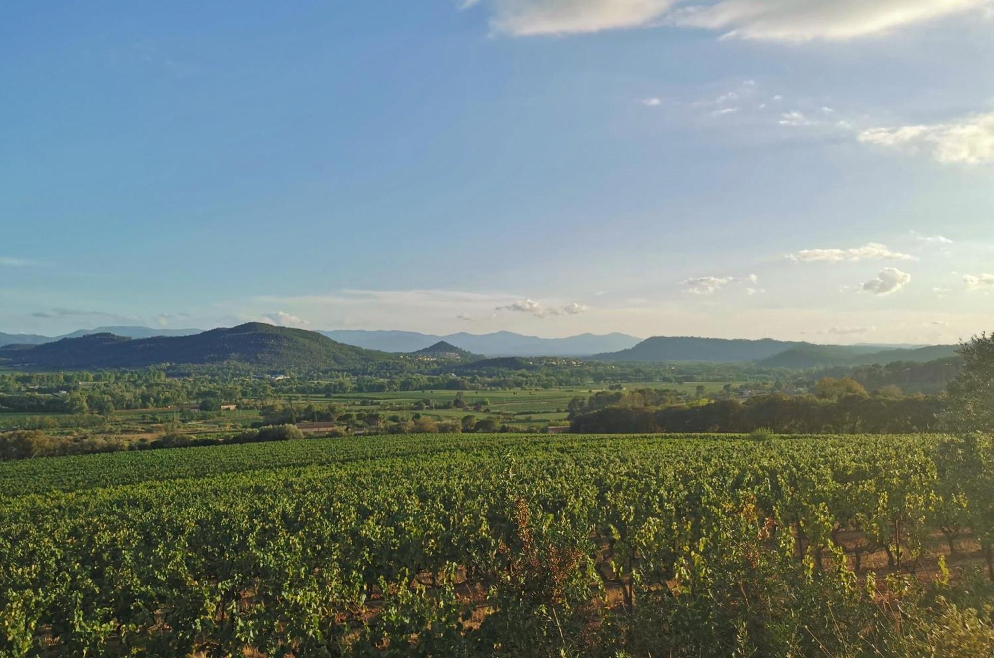 Le Nid En Chante Vue Panoramique Les Arcs-sur-Argens エクステリア 写真
